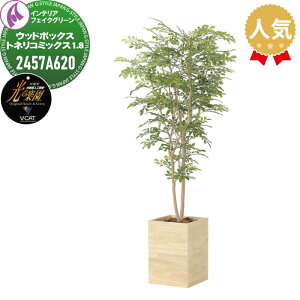 �y���������T�Ώہz ���G�}�l�H�A�� ������ЃA�[�g�N���G�C�V���� �C���e���A �t�F�C�N�O���[�� �E�b�h�{�b�N�X�^�C�v �E�b�h�{�b�N�X�g�l���R�~�b�N�X 1.8m 2457A620 ���̊y�� ���L �R�� �h