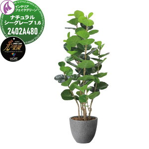 y|CgUPzyTΏہz G}lHA ЃA[gNGCV CeA tFCNO[ Xg[v^[V[Y i`V[O[v 1.6m 2402A480 ̊y