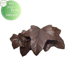 y10/30|CgUPzyTΏہz \D 和 fB[YK[f fB[YCg EH[EHbV[ ACr[ ^CvA 100V^Cv uY DSL0901  킢 Deas Garden