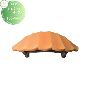 y10/30|CgUPzyTΏہz \D 和 fB[YK[f fB[YCg EH[EHbV[ voX ^CvA 100V^Cv IW DSL0101  킢 Deas Garden