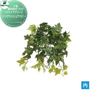 y|CgUPzyTΏہz lHA O[x tFCNO[ CObVACr[ ؁EpK[h A70NS570 i