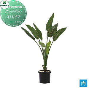 y|CgUPzyTΏہz lHA O[x tFCNO[ Xg`A ؁Ep A70TN142 i