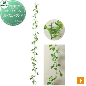 y|CgUPzlHA O[x tFCNO[ |gXK[h /K[hEp A70NS778 i