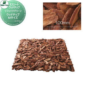 y10/30|CgUPzyTΏہz lHA O[x tFCNO[ Ebh`bvMTCY XV[gEEbh`bv A70NT450A i