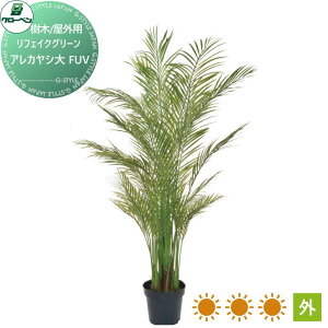 yTΏہz lHA O[x tFCNO[ AJV@@FUV ؁EOp A70TR125 i