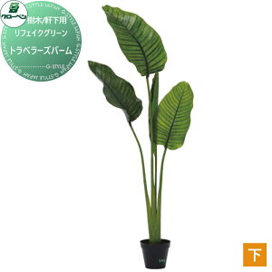 y|CgUPzyTΏہz lHA O[x tFCNO[ gx[Yo[ ؁Ep A70TN555 i