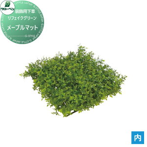 y|CgUPzlHA O[x tFCNO[ [v}bg ؁EpK[h A70NT274 i