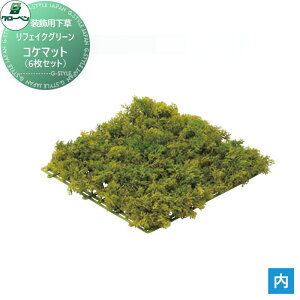 y|CgUPzyTΏہz lHA O[x tFCNO[ RP}bg@6Zbg ؁EpK[h A70NT675 i