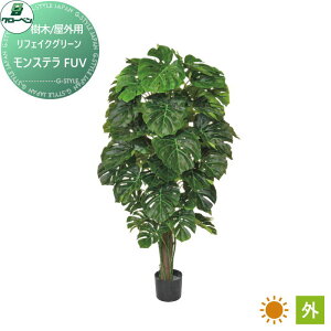 y|CgUPzyTΏہz lHA O[x tFCNO[ Xe@FUV ؁EOp A70TR145 i