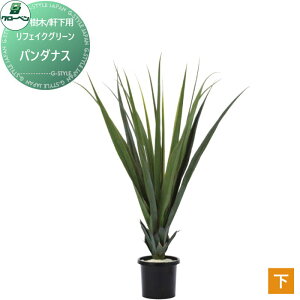 y|CgUPzyTΏہz lHA O[x tFCNO[ p_iX ؁Ep A70TN571 i