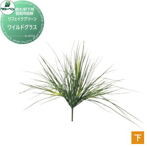 yTΏہz lHA O[x tFCNO[ ChOX ǖʗp/Ep A70TN515 i