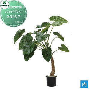 y|CgUPzyTΏہz lHA O[x tFCNO[ AJVA ؁Ep A70TN1133 i