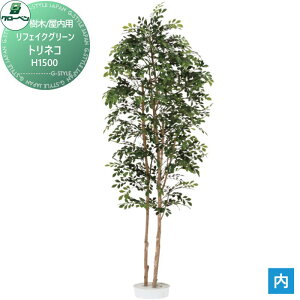 y|CgUPzyTΏہz lHA O[x tFCNO[ glR@H1500 ؁Ep A70ND385 i