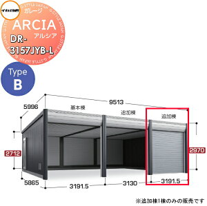 yTtz Ԍ K[W Ciou t쏊 ARCIA(AVA) TypeB DR-3157JYB-L ǉ(2ڈȍ~[^Cv)W{ ^ Ԍ3191.5×s5865×2970mm fUCi[YK[W q 