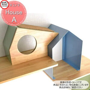 y11/10|CgUPzyTΏہz Jcf NeconoMa lRm} House nEX ^CvA ؃Xebvt CeA L ybg   nEX 