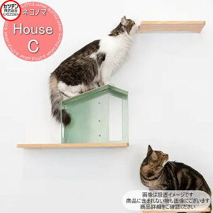 yTΏہz Jcf NeconoMa lRm} House nEX ^CvC ؃Xebvt CeA L ybg   nEX 