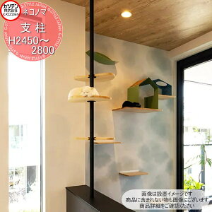 yTΏہz Jcf NeconoMa lRm} xiZpj 2450`2800mm CeA L ybg   nEX 