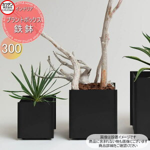 yTΏہz Jcf vg{bNX S TCY300 ̌^ LX^[t CeA v^[ A  X`[ ϐH