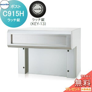 y|CgUPzyTΏہz ˌX֎ |Xg R[\jA C^Cv@C915H b` KOWA SONIA