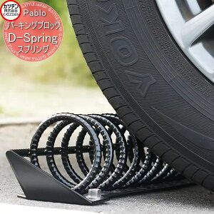 yTΏہz Jcf p[LOubN Pablo D-Spring DXvO 1Pʔ̔ GNXeA   J[ Ԍ  N[