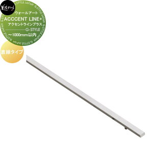 y|CgUPzfXgV[Y@\D ZNtg ACCENT LINE+ ANZgCvX@^Cv `1000ȓ APS-