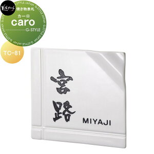 y10/30|CgUPzĂ\D ZNtg caro J[ J^ TC-81