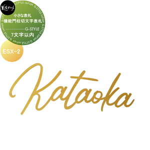 ȕ\DV[Y ZNtg @\和ؕ\Di7ȓj ESX-2