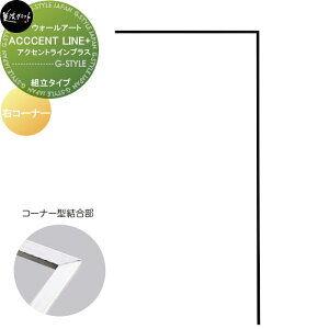 y|CgUPzfXgV[Y@\D ZNtg ACCENT LINE+ ANZgCvX@g^Cv ER[i[ APL-R-