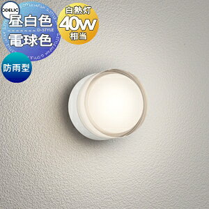 GNXeA O Ɩ Cg I[fbNODELIC |[`Cg OG264060NR F OG264060LR dF ItzCgF LEDdtbg` hJ^M40W ǖʁEVʁEXΖʎtp 