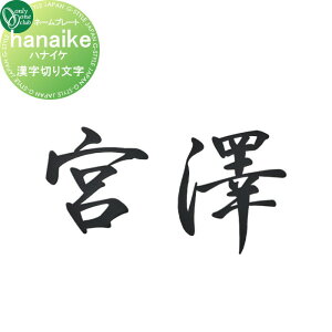 \D I[Nu niCP hanaike@؂蕶 NL1-N120 ˌ I[_[ I[ GNXeA