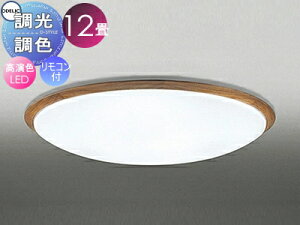 I[fbN ODELIC FV[OCg OL251621R ؍ރ`F[F FLED dF?F cotی`|V[Ot Rt ?12 O[ĥVvȖؘgfUC