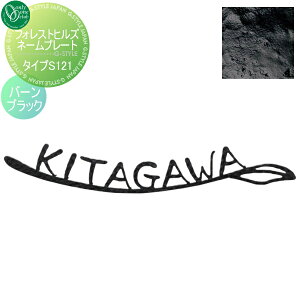 \D ACA I[Nu tHXgqYl[v[g ^CvS121 o[ubN NA1-S121BB ˌ I[_[ I[ GNXeA