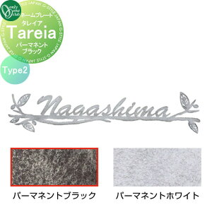 \D I[Nu ^CA Tareia Type2 p[}lgubN AG1-THA02P ˌ I[_[ I[ GNXeA