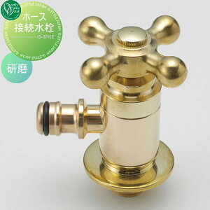 y|CgUPzyTΏہz ֌ ⏕֌ I[Nu z[Xڑ  HV3-G102-B ֌ K[fjO ܂ O   I[ GNXeA