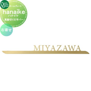 \D I[Nu niCP hanaike@^J؂蕶o[ E NL1-N123 ˌ I[_[ I[ GNXeA