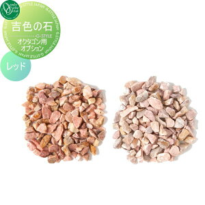 y10/30|CgUPzK[fp 󂯃IvV I[Nu gF̐ bh HV3-GR-R  p  K[fjO ܂ O I[ GNXeA