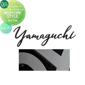 �\�D �I�����[�����N���u �j���[���[�N�X�^�C�� �^�C�v24 �V���o�[ IP1-22-24-S �ˌ��� �I�[�_�[ �I�����[���� �G�N�X�e���A