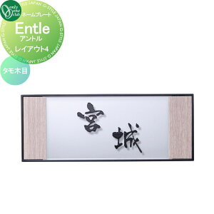 \D I[Nu Ag Entle CAEg4 ^ؖ HS1-ENTA4 ˌ I[_[ I[ GNXeA