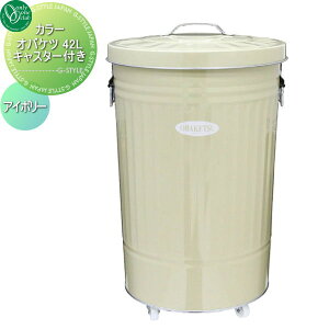 yTΏہz I[Nu J[IoPc 42L LX^[t@AC{[ WA3-CIK45 I[ GNXeA