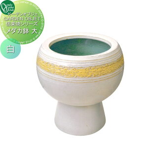 yTΏہz I[Nu _J @ MZ3-043 I[ GNXeA