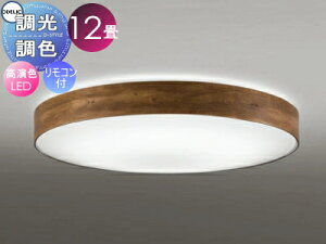 I[fbN ODELIC FV[OCg OL291355R ؍ރEH[ibgFÖ FLED dF?F cotی`|V[Ot Rt ?12 Íނ̂悤ȕɎdグ