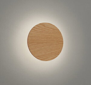 i`F̓˂ՌɂԐڌ^Cv I[fbN ODELIC uPbgCg OB255315R dF ؍ރi`F Ѓ220 LEĎ^ id4.5W