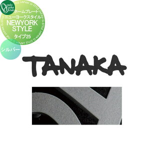 �\�D �I�����[�����N���u �j���[���[�N�X�^�C�� �^�C�v25 �V���o�[ IP1-22-25-S �ˌ��� �I�[�_�[ �I�����[���� �G�N�X�e���A