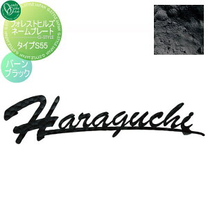 \D ACA I[Nu tHXgqYl[v[g ^CvS55 o[ubN NA1-S55BB ˌ I[_[ I[ GNXeA