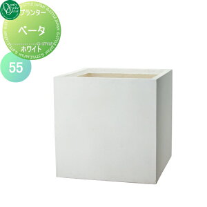 y|CgUPzyTΏہz v^[ I[Nu t@Co[v^[ x[^ zCg 55 zwTΏۊOi A Ԓd  K[fjO I[