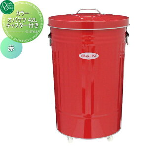 yTΏہz I[Nu J[IoPc 42L LX^[t@ WA3-CRK45 I[ GNXeA