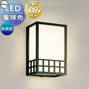 GNXeA O Ɩ Cg I[fbNODELIC |[`Cg OG264139LR M60w dF uPbgCg  ǖʁE֓ VvfUC a a_ LED