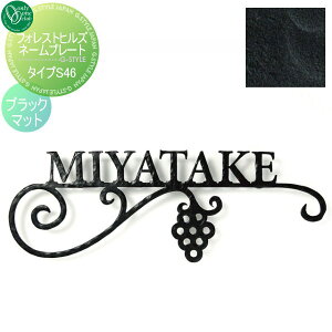 \D ACA I[Nu tHXgqYl[v[g ^CvS46 ubN}bg NA1-S46BM ˌ I[_[ I[ GNXeA