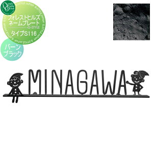 \D ACA I[Nu tHXgqYl[v[g ^CvS116 o[ubN NA1-S116BB ˌ I[_[ I[ GNXeA