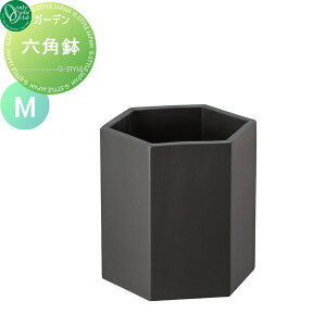v^[ I[Nu Zp }bg M HEXAGON POT A Ԓd  K[fjO I[ GNXeA